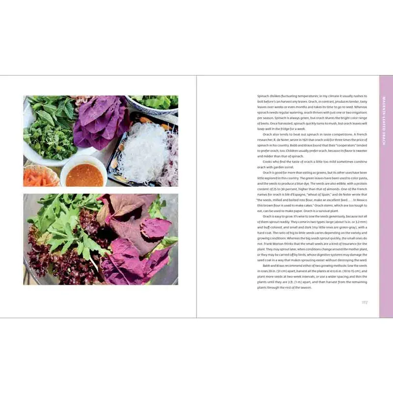 The Curious Kitchen Gardener: Vegetable Planting Guide and Growth Journal 1