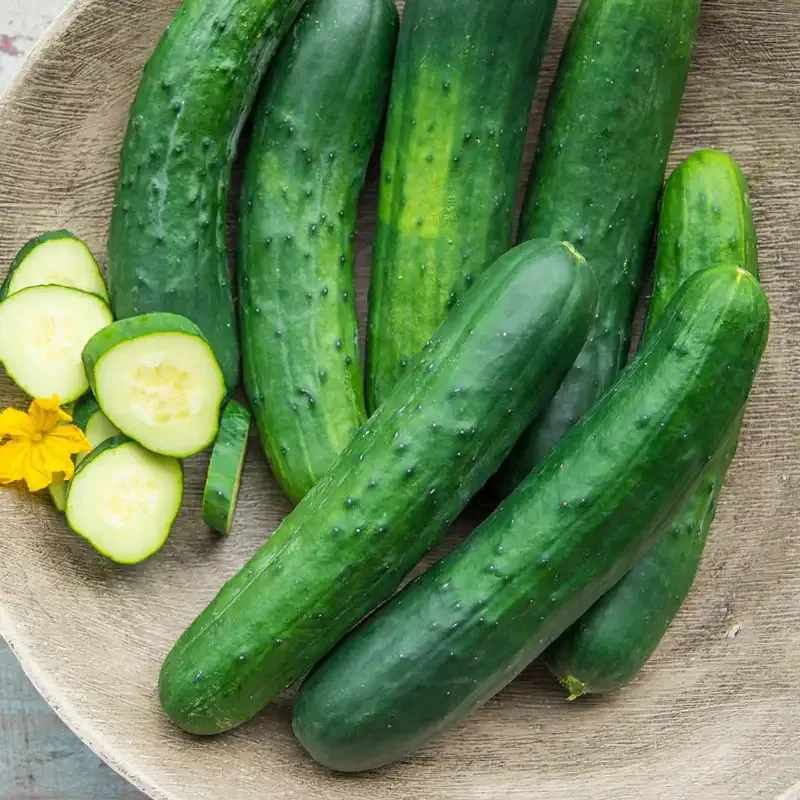 Americana Slicing Hybrid Cucumber Seeds for Home Gardening