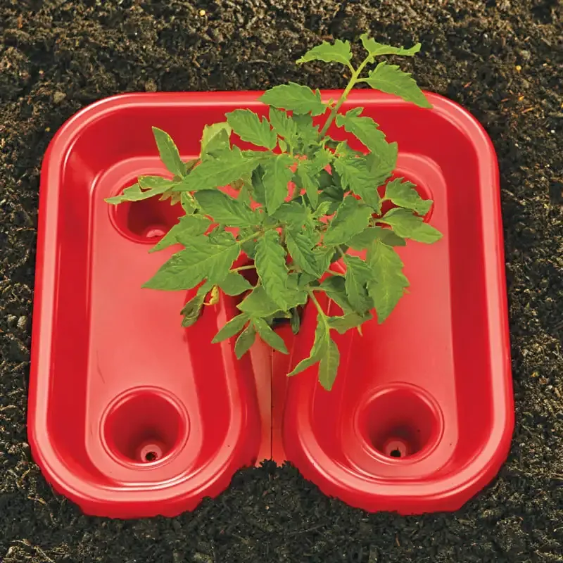 Tomato and Pepper Growing Automator Tray for Seedling Propagation
