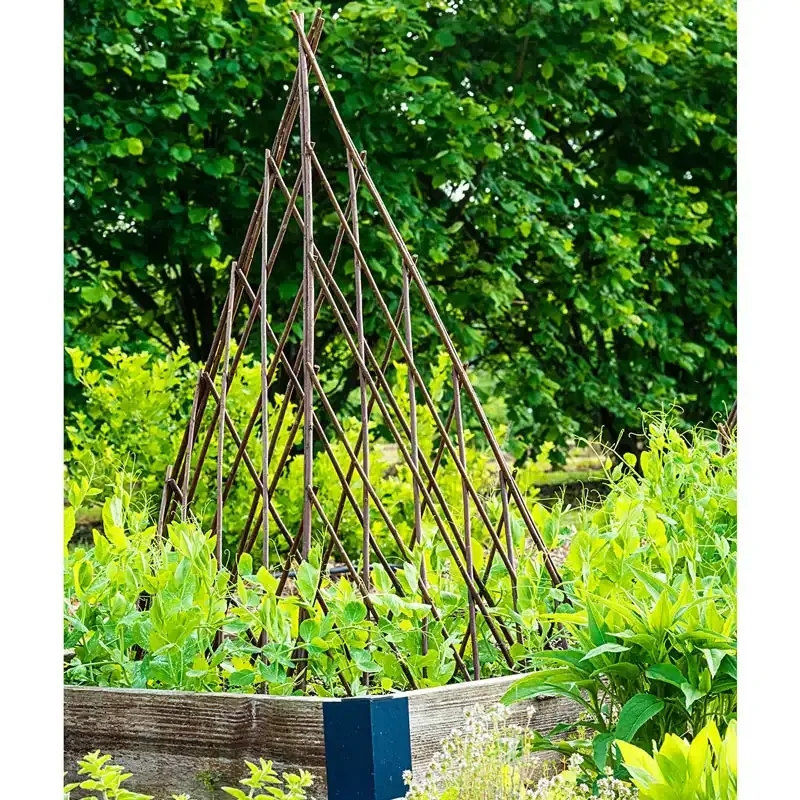Natural Willow Teepee Plant Support for Climbing Vines and Garden Vegetables 2