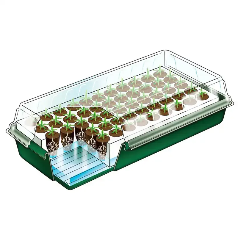 Seed Starting Kit with Propagation Trays for Indoor Seed Germination 2