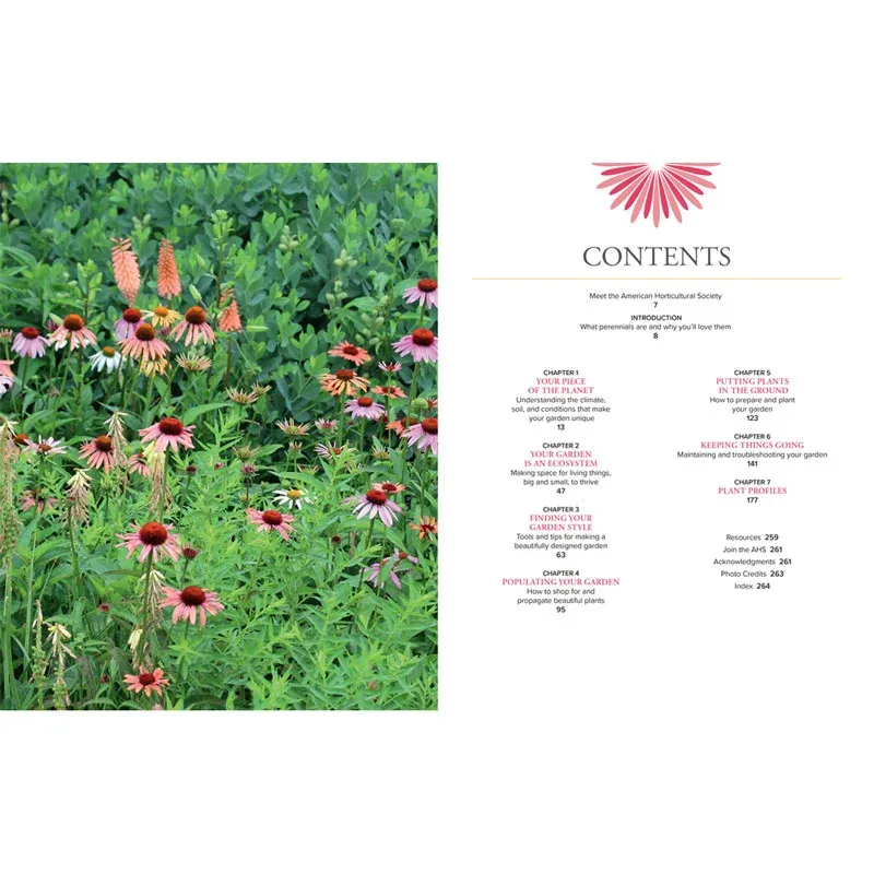 Essential Guide to Perennial Gardening: Comprehensive Planting and Maintenance Handbook 1
