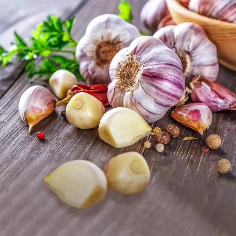 Red Hardneck Garlic Bulbs for Culinary Use
