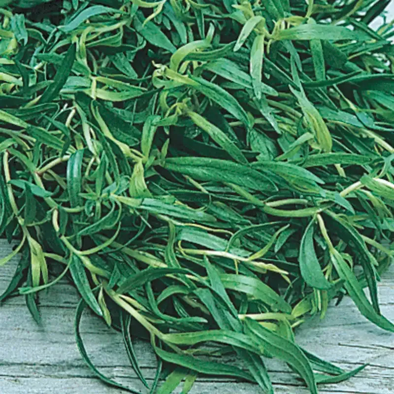French Tarragon Culinary Grade Dried Herb