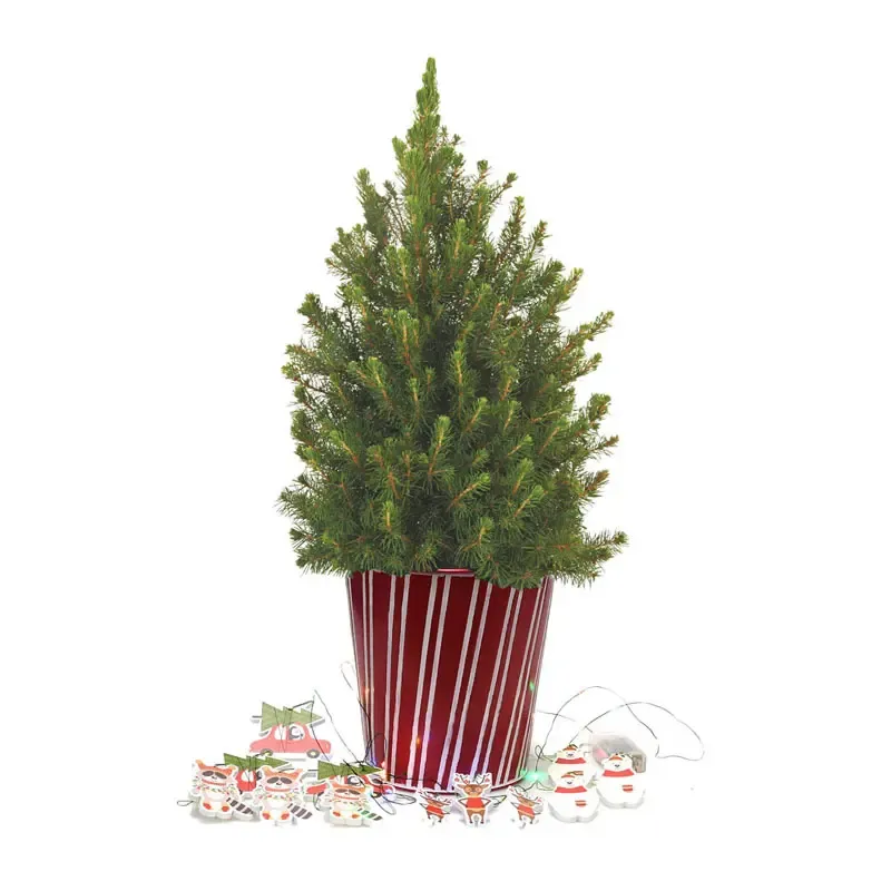 Christmas Critters Potted Spruce Tree - Realistic Tabletop Artificial Pine 1