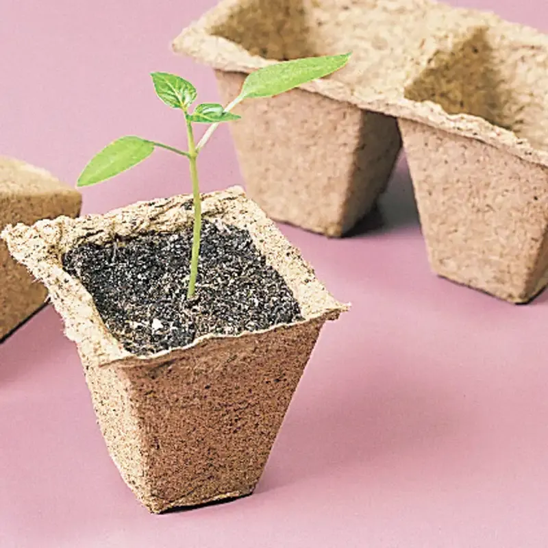 Square Biodegradable Peat Pots for Seed Starting and Seedling Propagation