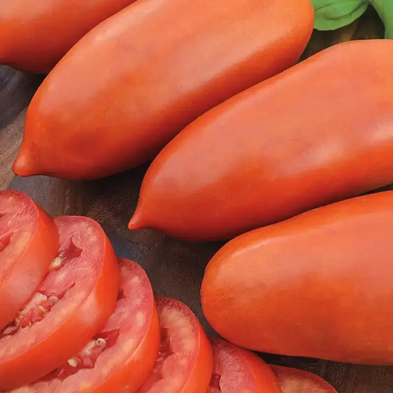 Authentic San Marzano Whole Peeled Tomatoes