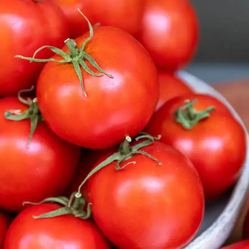 Early Darling Hybrid Tomato Seeds - Early Maturing Variety 1