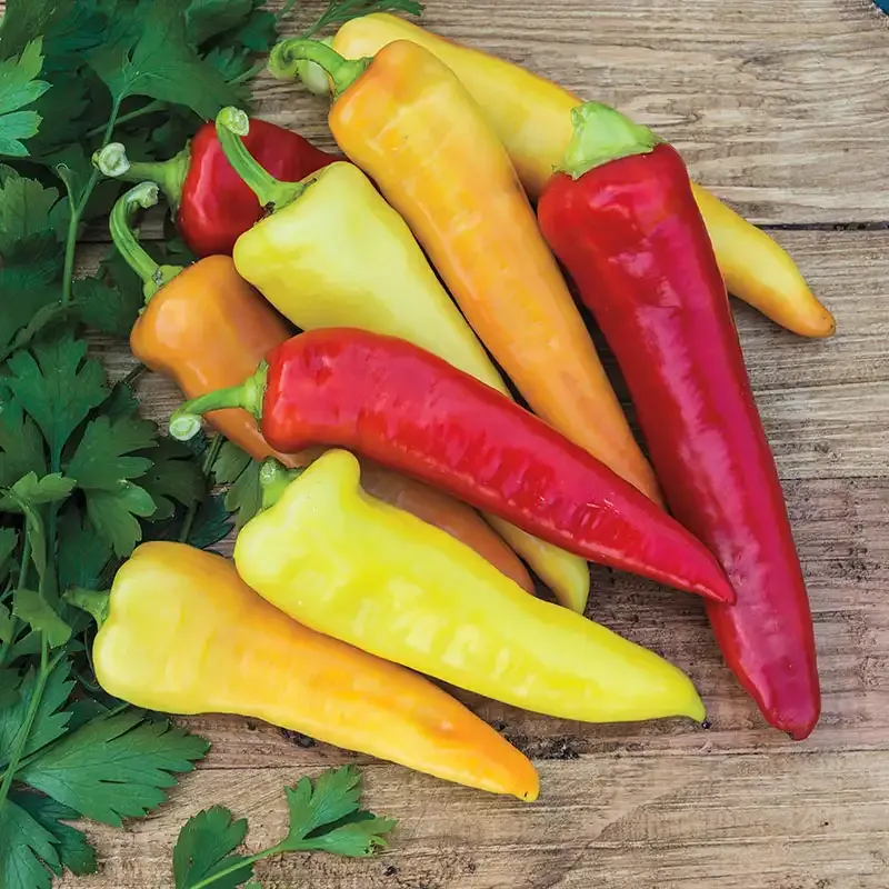 Sweet Banana Pepper Heirloom Vegetable Seeds