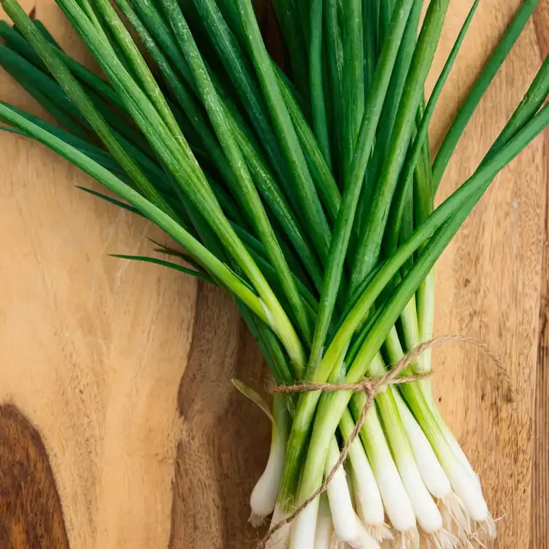 Evergreen White Bunching Onion Seeds for Home Vegetable Gardening 1