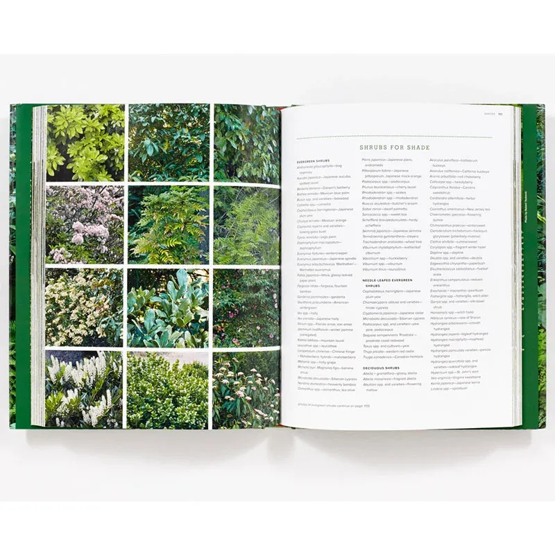 Shade Garden Collection for Low-Light Landscapes 1