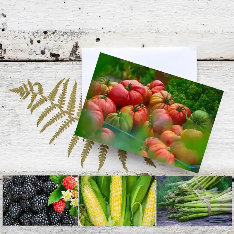 Vegetable Illustration Botanical Notecards Set 1