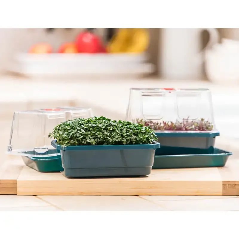 Microgreen Growing Kit with Drainage Trays for Indoor Sprouting