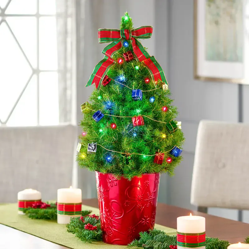 Colorful Potted Spruce Tree for Indoor Tabletop Decoration