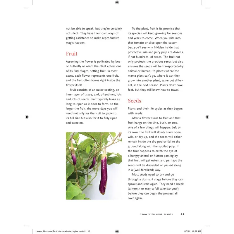 Balanced Plant Nutrient Formula for Leaves, Roots, and Fruit Development 1
