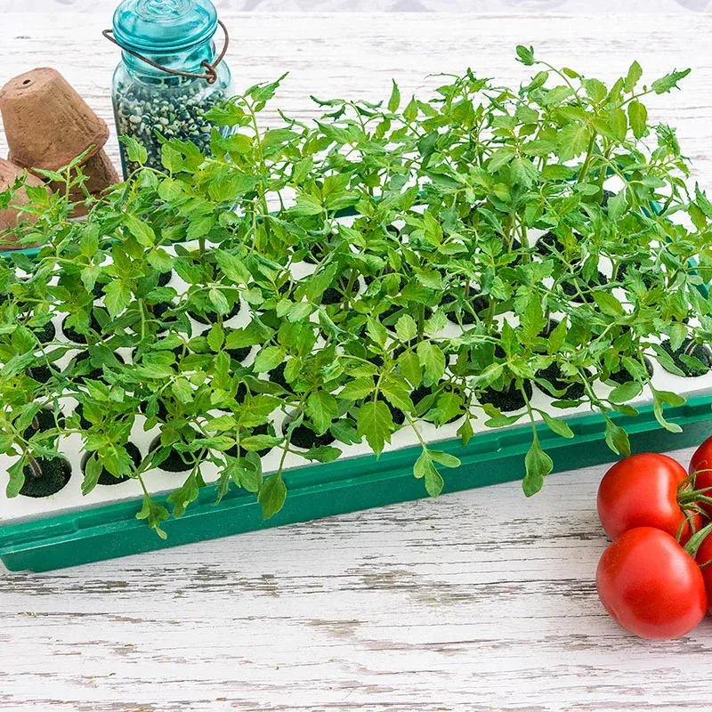 Seed Starting System with Adjustable Humidity and Drainage Trays