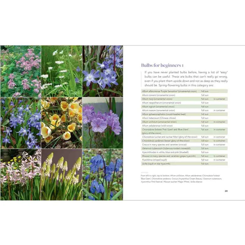 Growing Bulbs in the Natural Garden: A Comprehensive Planting and Care Manual 1