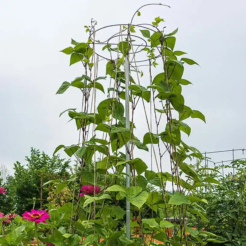 Vertical Bean Tower Plant Trellis for Climbing Vegetables and Flowers 1
