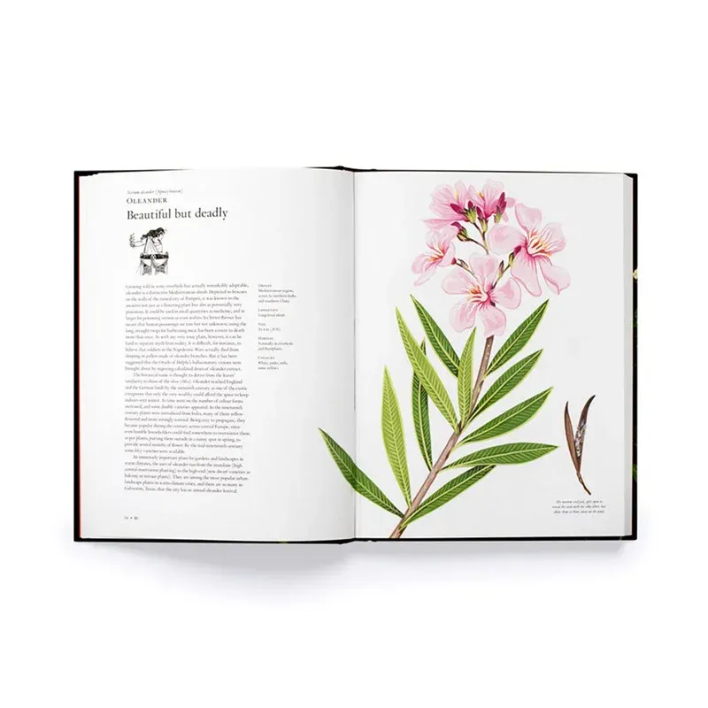 The Story of Flowers: An Exploration of Botanical History and Human Lifestyle Evolution 1