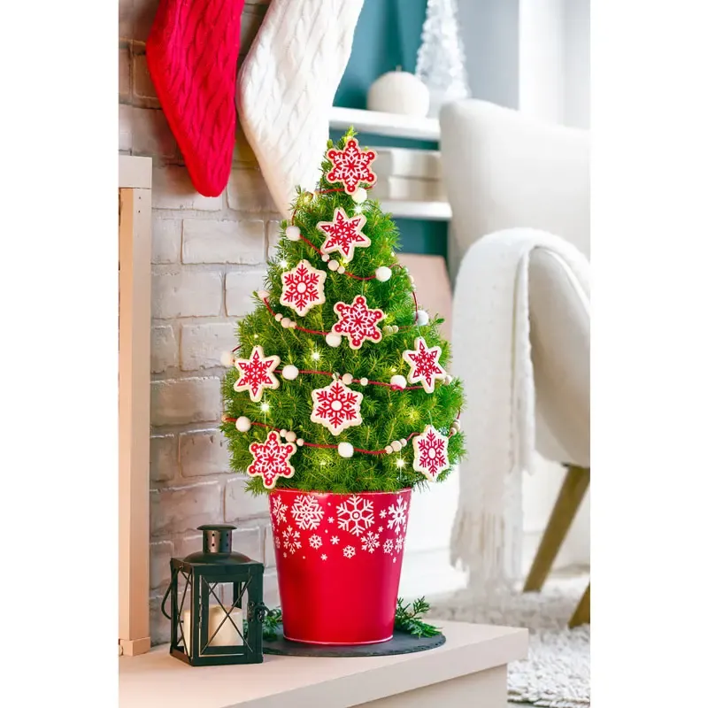 Sweet Snowflakes Potted Spruce Tree with Flocked Finish