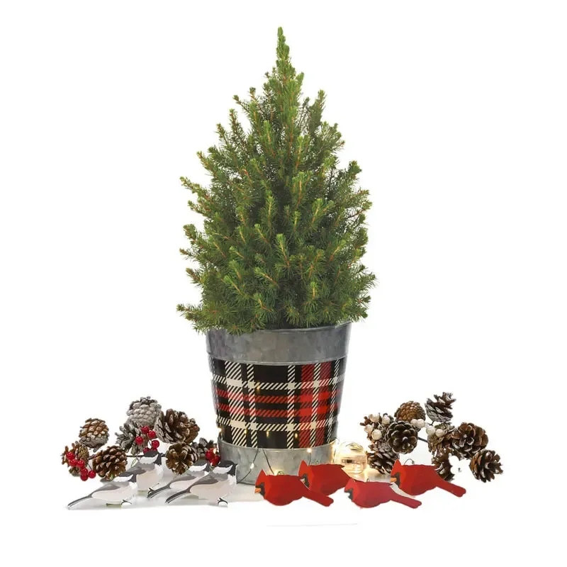 Winter Songbirds Potted Spruce Tree - Artificial Tabletop Holiday Decor 1