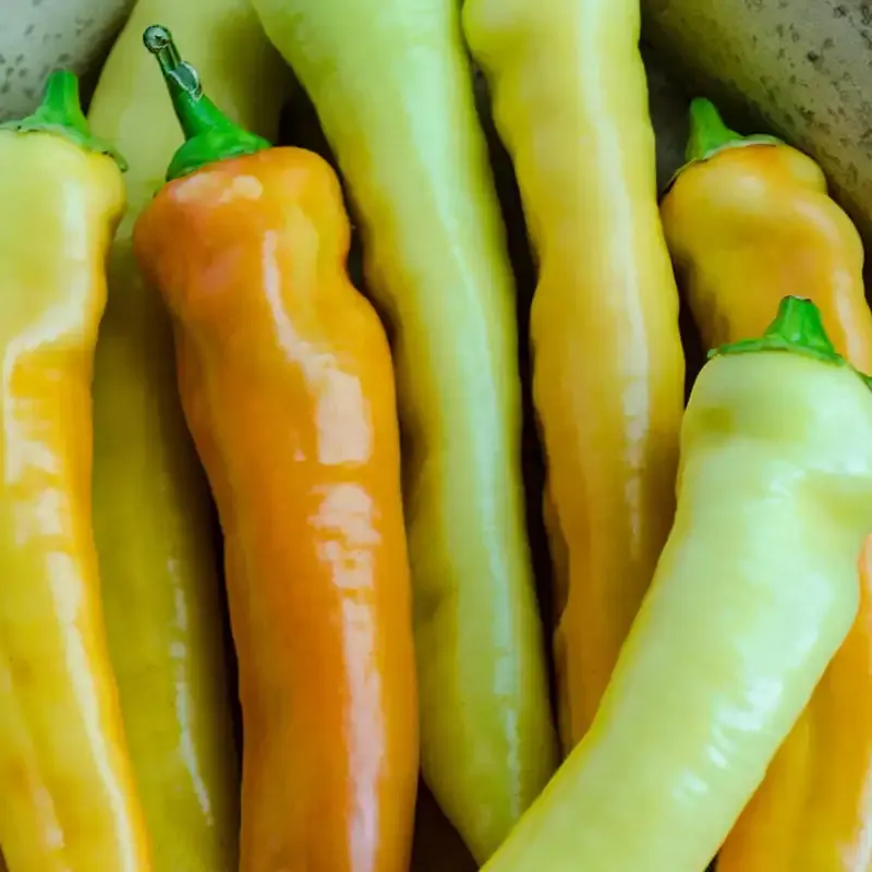 Sweet Banana Pepper Heirloom Vegetable Seeds 2