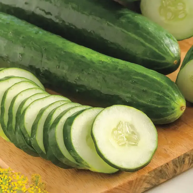 Sweet Success Hybrid Slicing Cucumber Seeds - Disease Resistant Variety