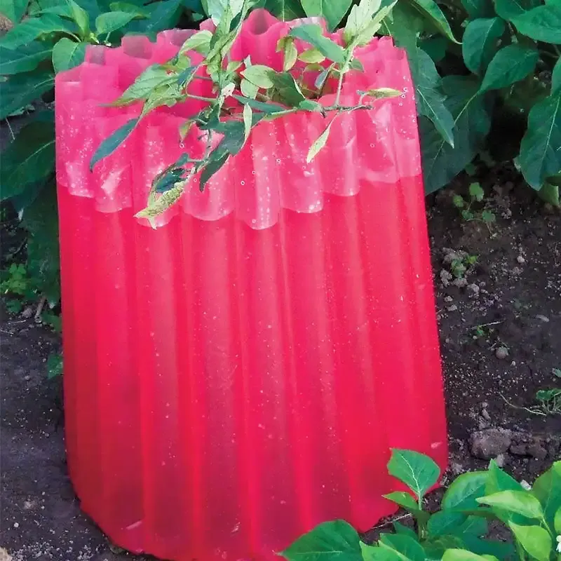 Reusable Plant-Heating Teepees for Frost and Cold Weather Protection