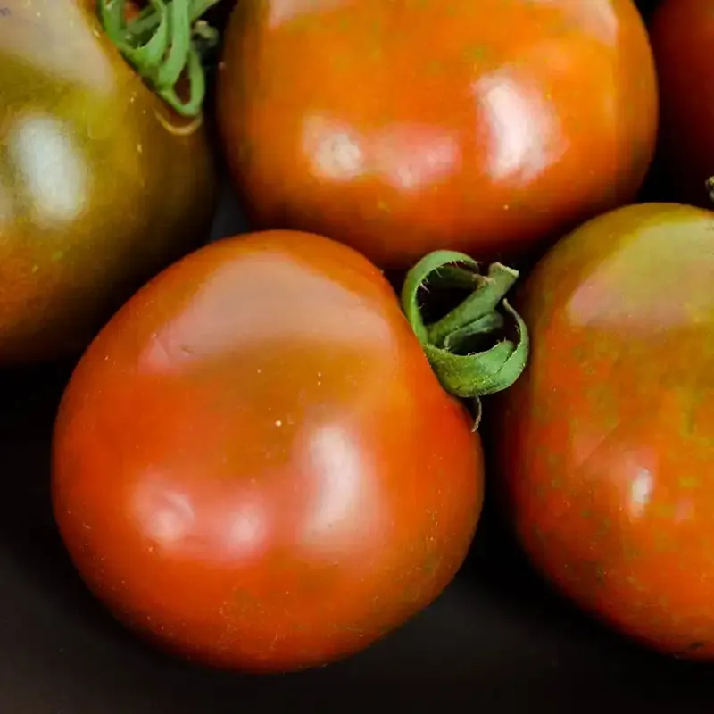 Black Velvet Hybrid Tomato Seeds - Approx. 25 Seeds
