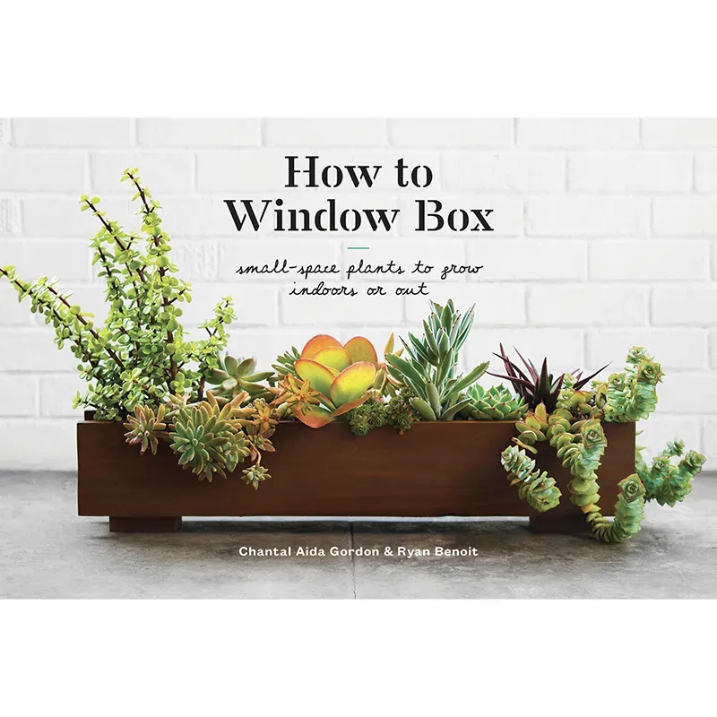 How to Window Box: Small-Space Gardening Guide for Indoor and Outdoor Plants