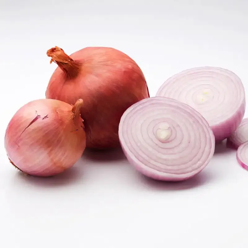 Blush Hybrid Onion - Uniform Bulb Development Variety
