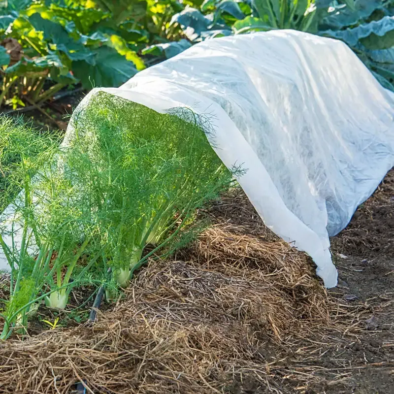 Floating Garden Row Cover - Breathable Plant Protection Netting for Vegetable Gardens 2