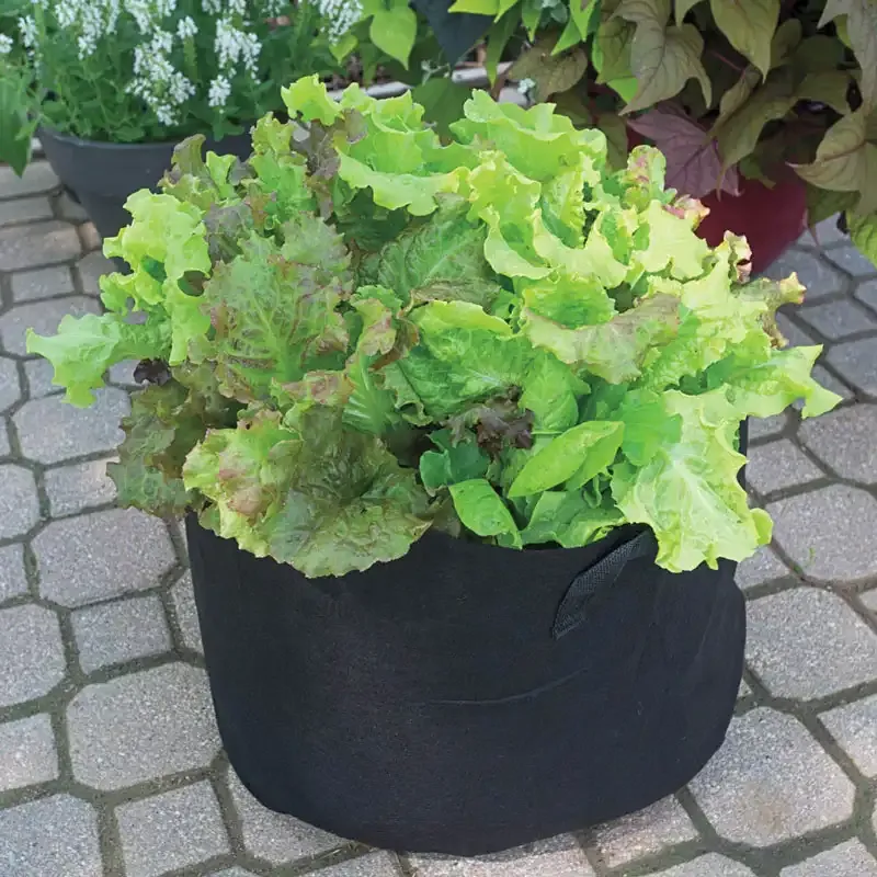 7 Gallon Fabric Garden Grow Bag - Breathable Aeration Container for Plants and Vegetables