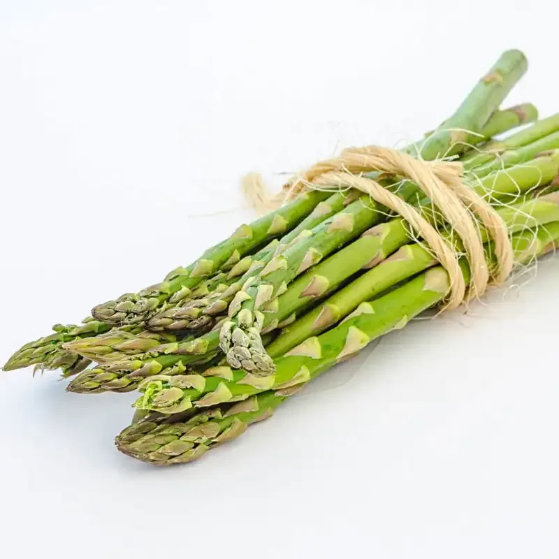 Grande Hybrid Asparagus Crowns for Perennial Garden Planting