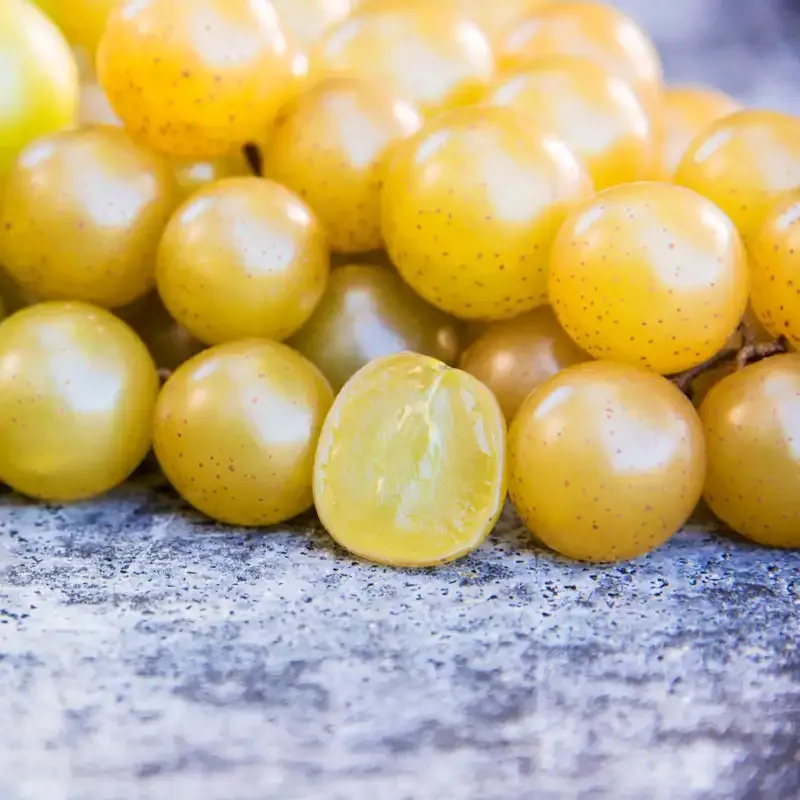 Seedless Grape Vine for Home Garden Cultivation 2