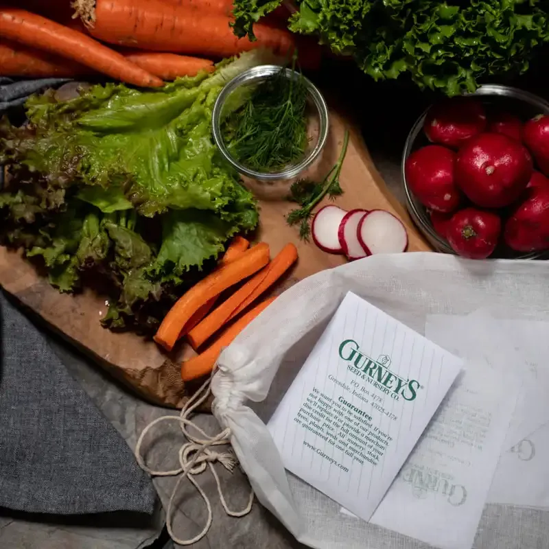 Gurney's Choice Vegetable Seeds for Beginner Gardeners