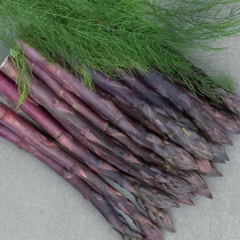 Vertical Asparagus Steamer and Freshness Storage Container