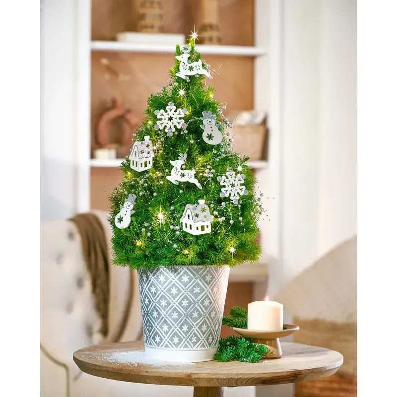 Silver and White Winter Potted Spruce Tree for Indoor Seasonal Decor