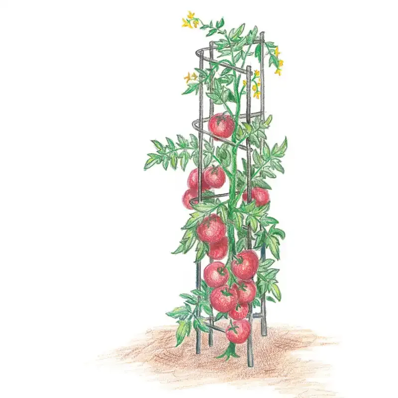 Vertical Tomato Tower Garden Support Trellis System