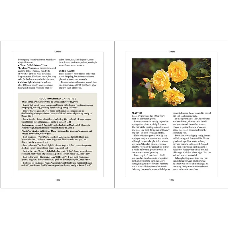 Flower Gardener’s Handbook: Seasonal Planting and Maintenance Guide 2