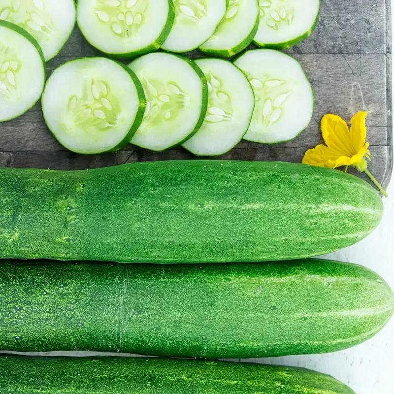 Early Spring Burpless Hybrid Slicing Cucumber Seeds - High-Yield Garden Variety