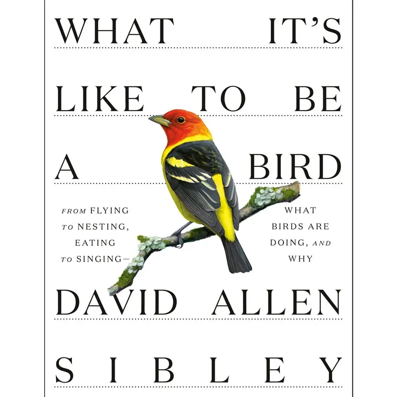 What It’s Like to Be a Bird: An Illustrated Guide to Avian Behavior and Biology