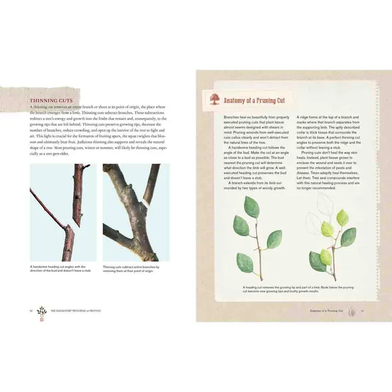 Grow a Little Fruit Tree: Comprehensive Guide to Compact Orchard Management 1
