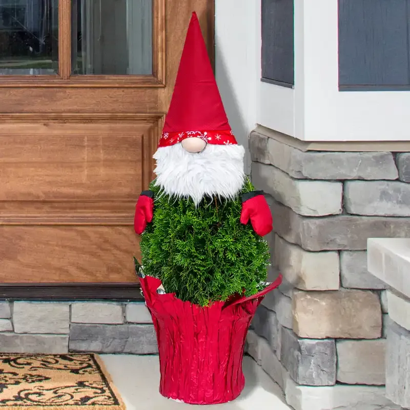 Holiday Gnome Arborvitae Tree - Festive Seasonal Evergreen Decor