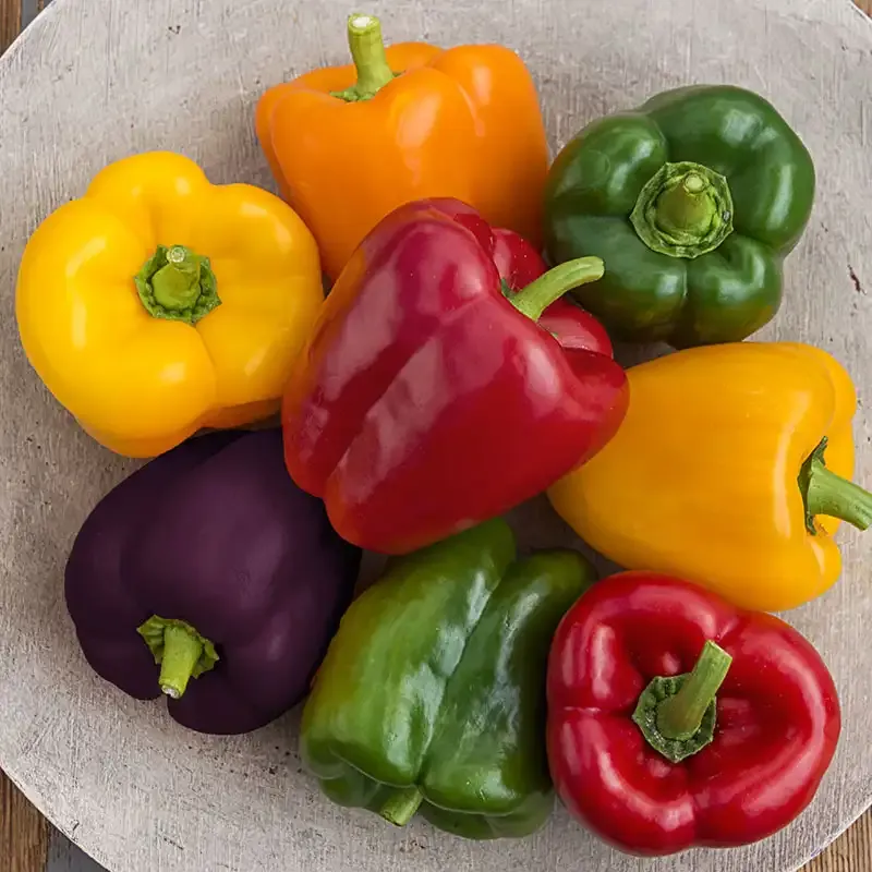 Sweet Bell Hybrid Sweet Pepper Seed Assortment