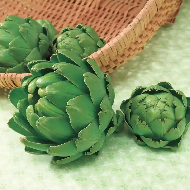 Imperial Star Artichoke Seeds for Home Vegetable Gardens