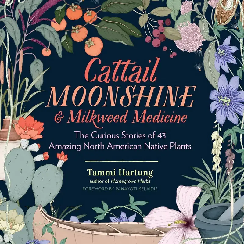Cattail Moonshine & Milkweed Medicine Botanical Preparation Kit