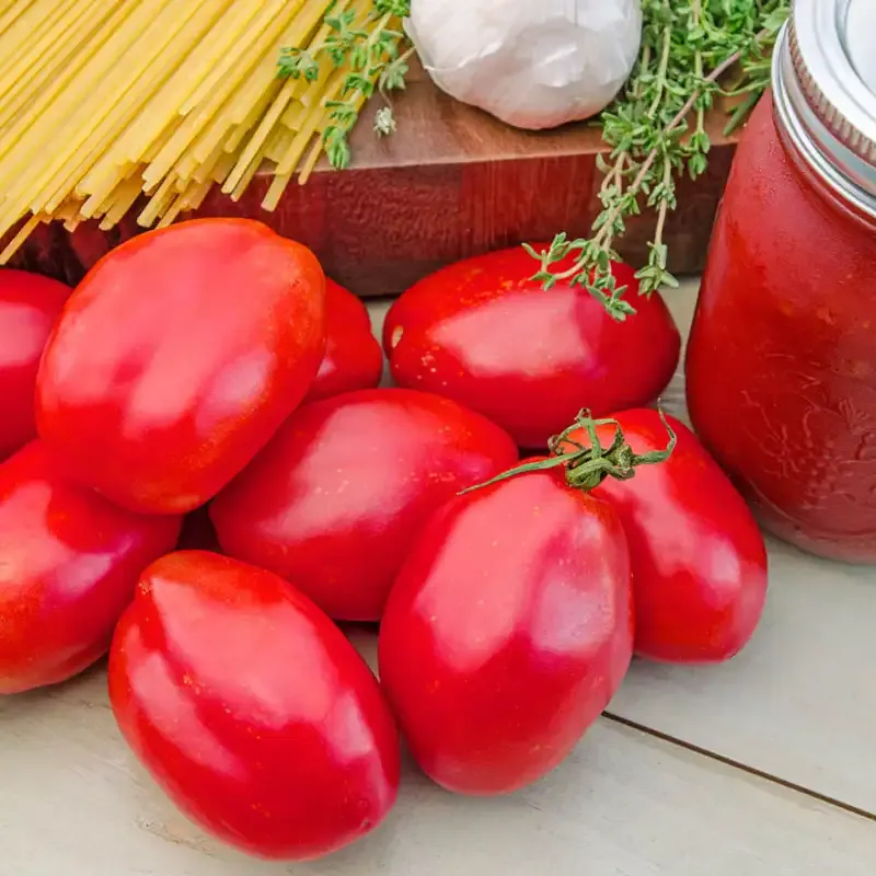 Amish Paste Heirloom Tomato Seeds - Indeterminate Variety for Culinary Use