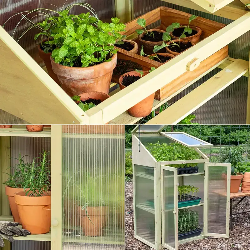 Portable Mini Greenhouse for Outdoor Plant Protection and Growth
