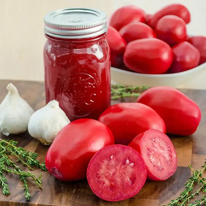 Hybrid Processing Tomato Seeds for Sauce Production